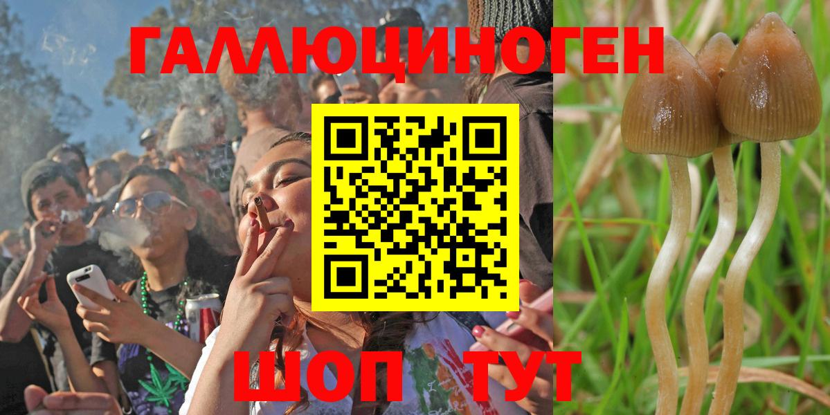 Галлюциногенные грибы Magic Shrooms  Галлюциногенные грибы Psilocybe  Вход с VPN  Саратов 